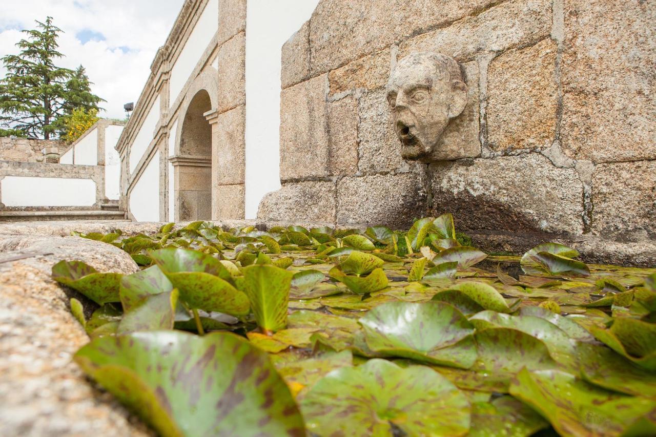 Vila Casa De Quinta Marco de Canavezes Exteriér fotografie
